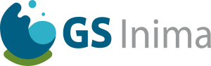 GS inima